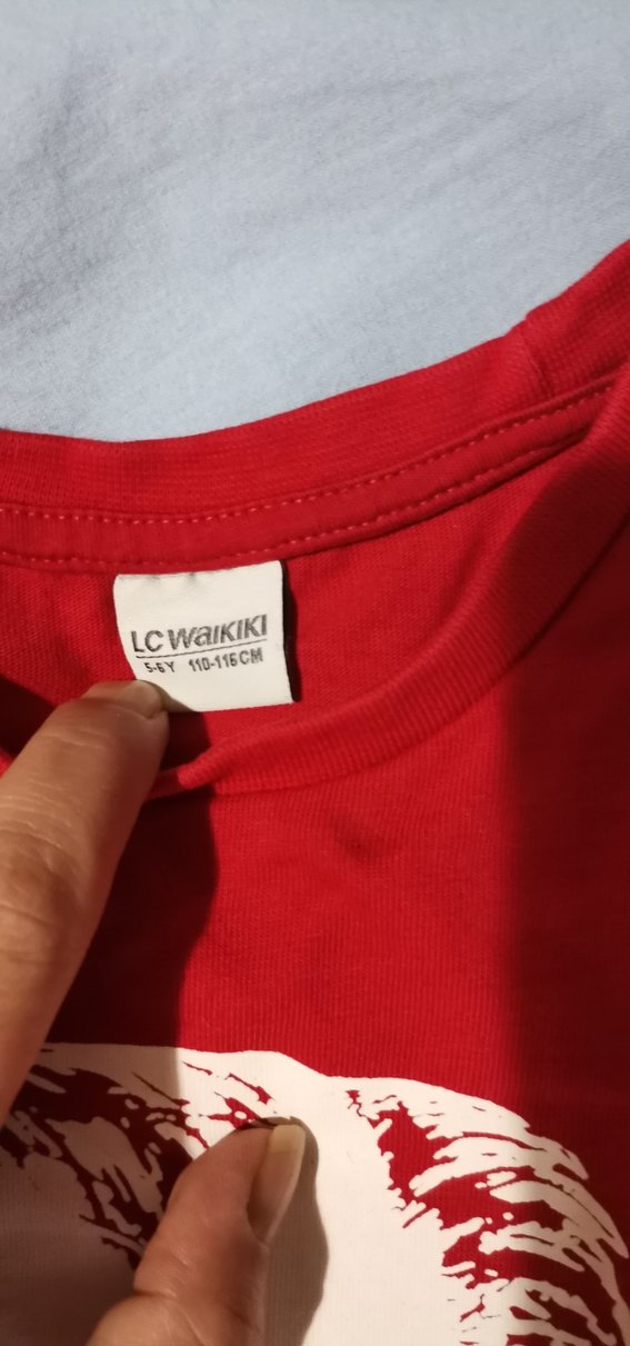 Kırmızı Baskılı Erkek Çocuk Uzun Kollu Tişört - Görsel 3