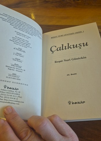 Beden Renk Çalıkuşu - Reşat Nuri Güntekin