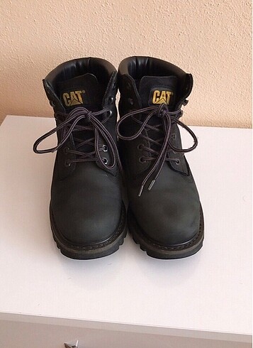 Cat bot
