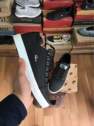 Lacoste