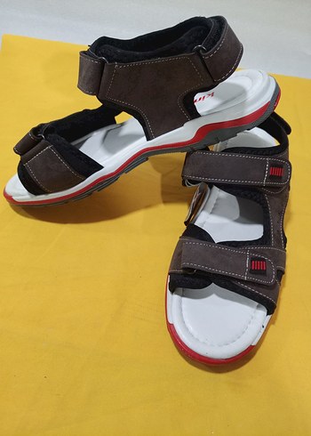 Polaris 39 - Görsel 2