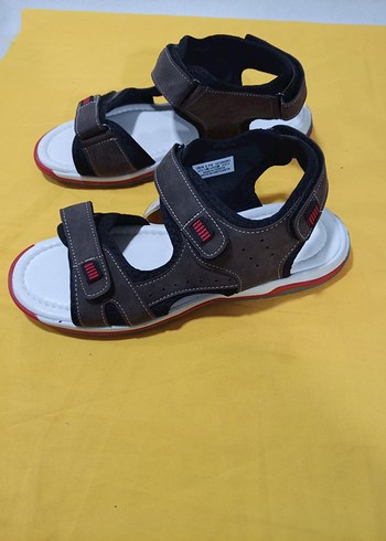 Polaris 39 - Görsel 3