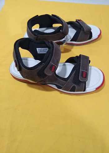 Polaris 39 - Görsel 4