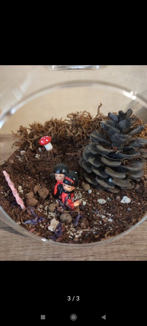 Teraryum Cam Dekorasyon - Görsel 3