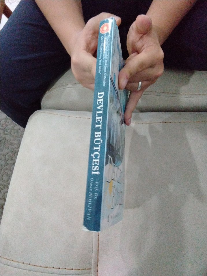 Devlet Bütçesi Kitabı - Prof. Dr. Osman Pehlivan - Görsel 3