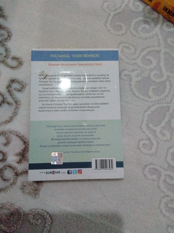 Poli Vagal Teori Rehberi Kitabı - Görsel 2