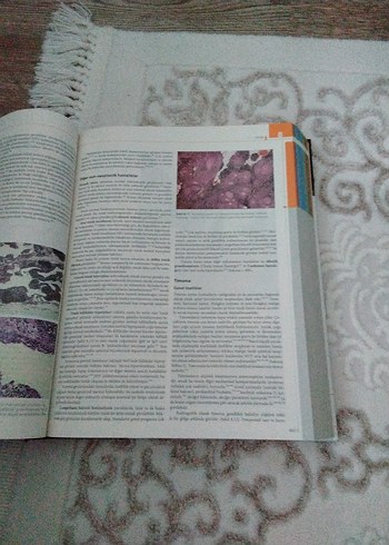 Cerrahi Patolojisi - Juan Rosai - Görsel 2