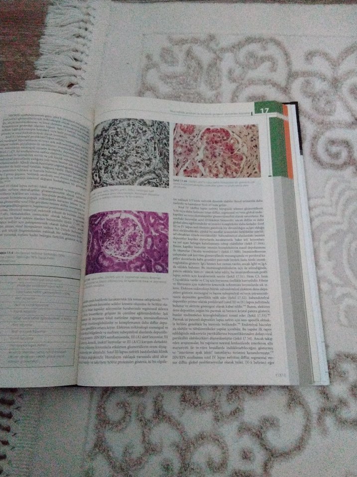 Cerrahi Patolojisi - Juan Rosai - Görsel 5