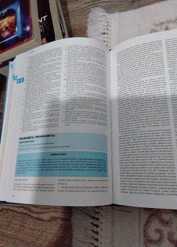 Gebelik ve Laktasyon Döneminde İlaç Kullanımı Kitabı - Görsel 2