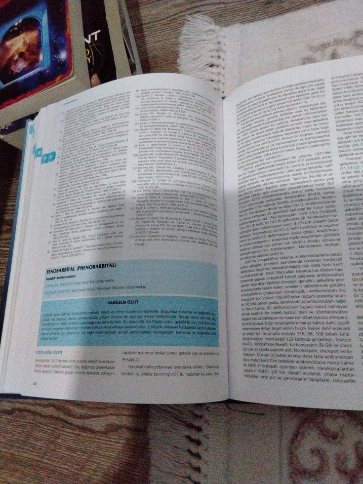 Gebelik ve Laktasyon Döneminde İlaç Kullanımı Kitabı - Görsel 2