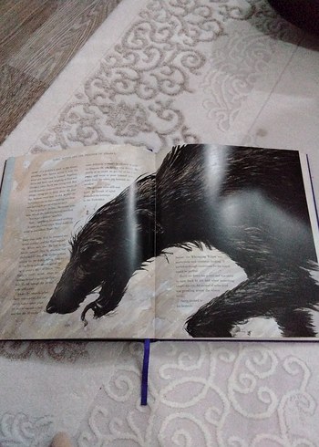 Harry Potter ve Azkaban Tutsağı - JIM KAY İllüstrasyonlu - Görsel 8