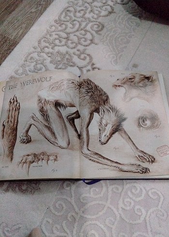 Harry Potter ve Azkaban Tutsağı - JIM KAY İllüstrasyonlu - Görsel 6