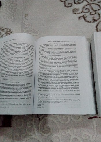 Anayasa Hukukunun Genel Teorisi 2 Cilt - Görsel 2