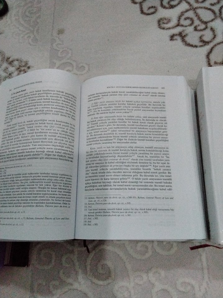 Anayasa Hukukunun Genel Teorisi 2 Cilt - Görsel 2