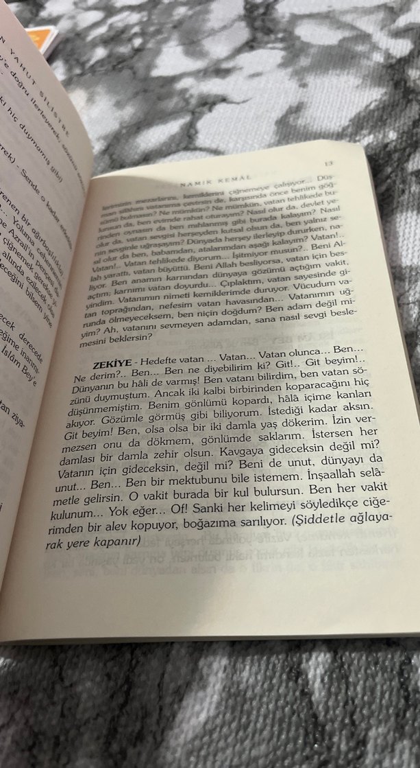 Vatan Yahut Silistre - Namık Kemal - Görsel 2