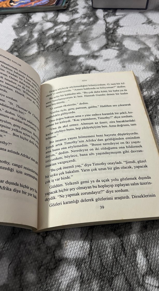 Ada - Theodore Taylor Romanı - Görsel 2