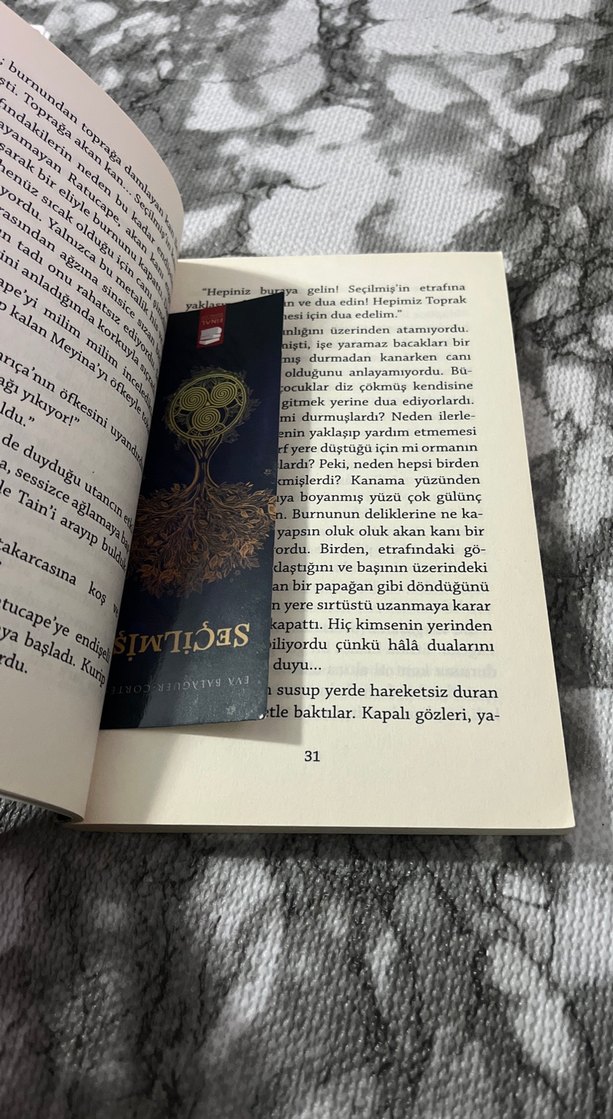 Seçilmiş - Eva Balaguer Cortés - Görsel 2