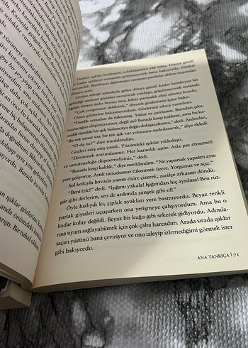 Yürüyen Şato ve Ana Tanrıça Romanları - Görsel 3