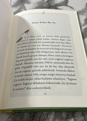 Nils ve Uçan Kaz Çocuk Kitabı - Görsel 2