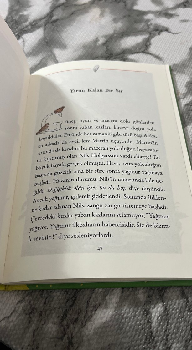 Nils ve Uçan Kaz Çocuk Kitabı - Görsel 2