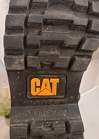 Cat Süet Bot - Görsel 6