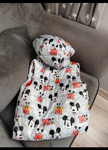 18-24 Ay Beden çeşitli Renk Mickey desen