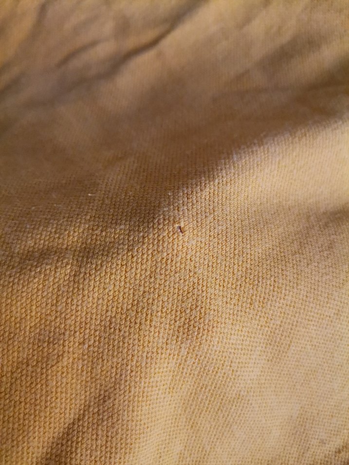 Erkek Çocuk gs  Polo Tişört - Görsel 5