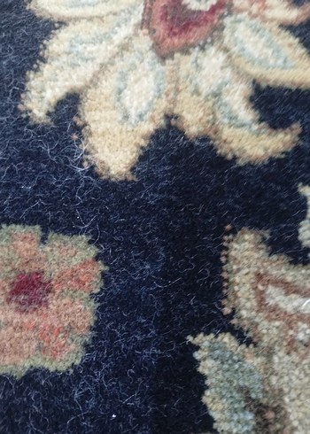 165+235(4m²) Rixos yün halı - Görsel 4