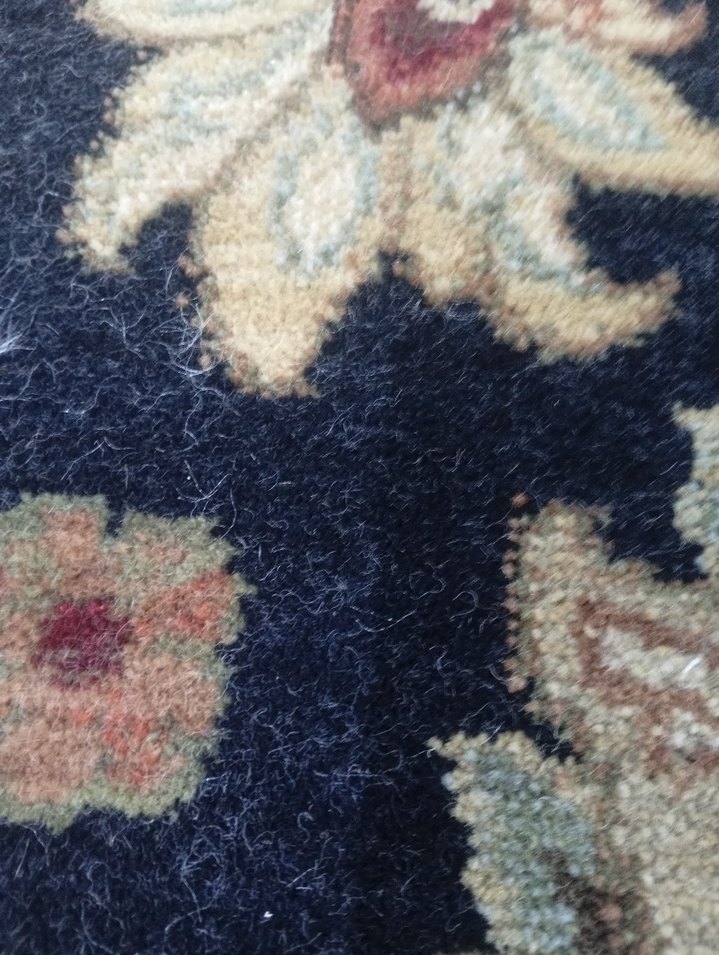 165+235(4m²) Rixos yün halı - Görsel 4