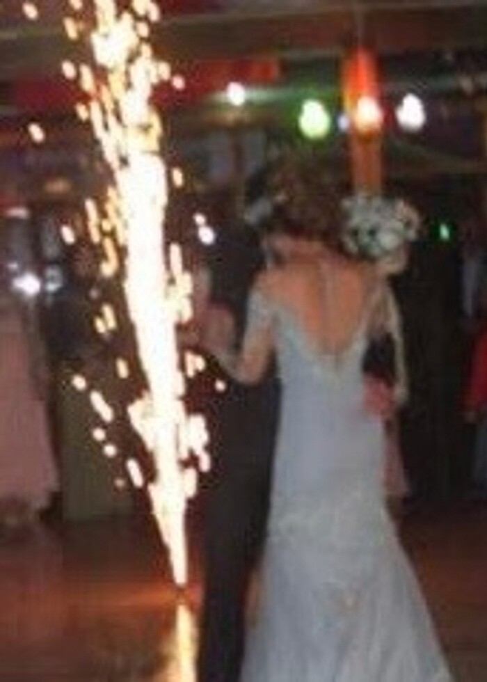 Balık Model Nişan Abiye Elbise - Görsel 3