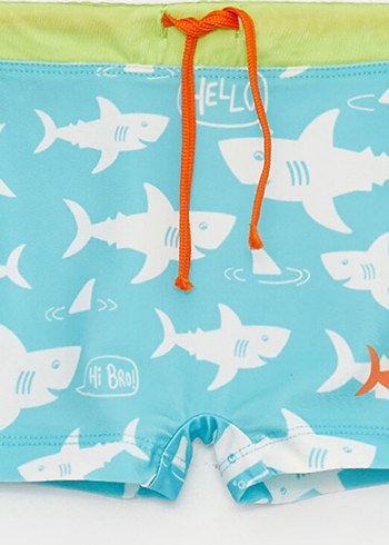 Çok Renkli Dinozor Baskılı Uzun Kollu Erkek Mayo - Görsel 4