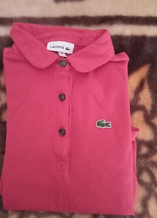Lacoste orjinal tişort 