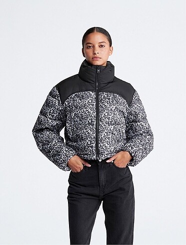 Calvin Klein Mont