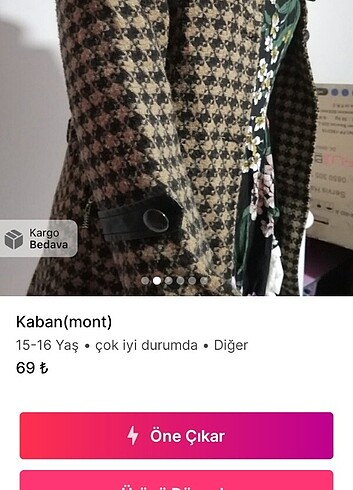 Diğer Kaban