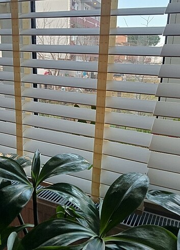 Oba Kaliteli Ahşap Görünümlü Krem Truwood Jaluzi Perde - Görsel 2