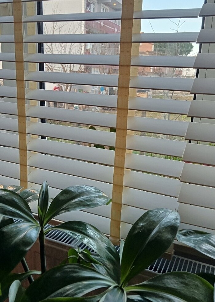 Oba Kaliteli Ahşap Görünümlü Krem Truwood Jaluzi Perde - Görsel 2