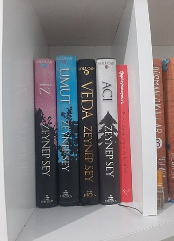 Kitap solucan seti
