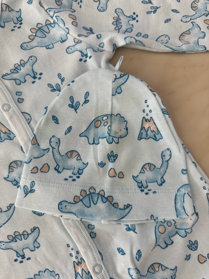 Mavi Dinozor Desenli Bebek Tulum ve Şapka - Görsel 2