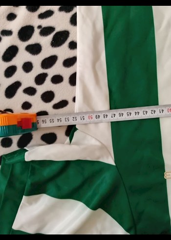 BursaSpor 50.yıl Forması - Görsel 5