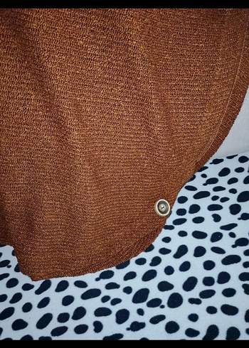 Kahverengi balero - Görsel 5