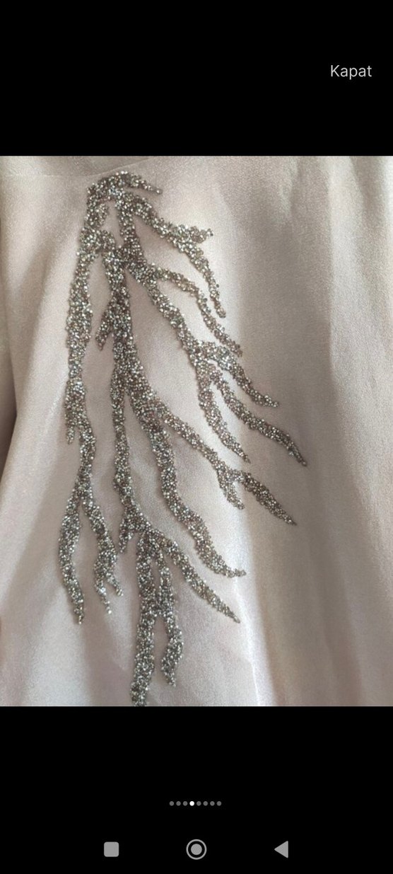 Nakış Detaylı Bej Uzun Abiye Elbise - Görsel 5