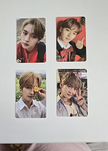 Stray kids