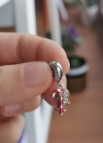 Beden Zencefilli kurabiye adam charm
