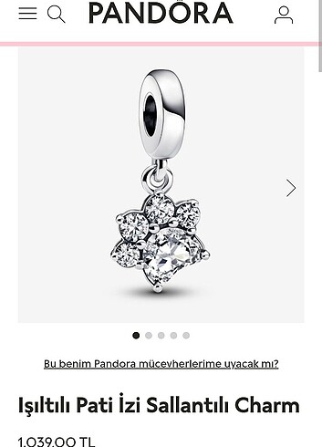 Pandora ışıltılı pati charm 