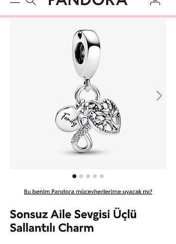 Pandora charm 