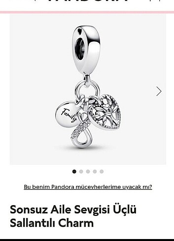 Pandora charm 