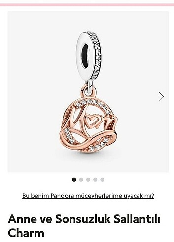 Pandora anne ve sonsuzluk sallantılı charm 