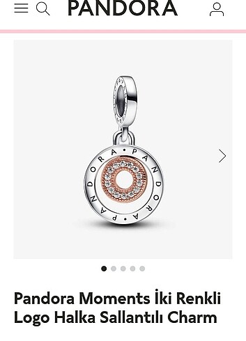 Pandora moments iki renkli halka charm