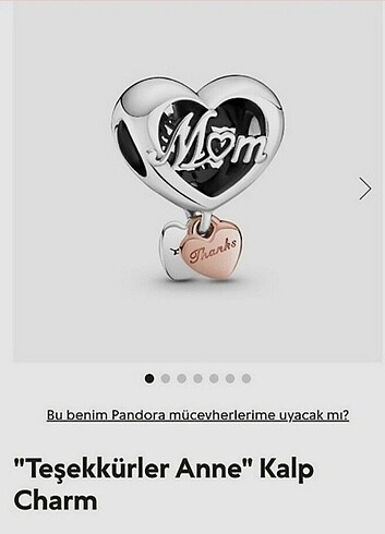 Pandora mom anne kalpli charm 
