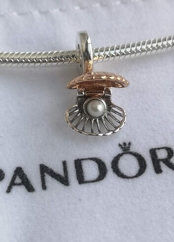  Beden Pandora deniz kabuğu charm 